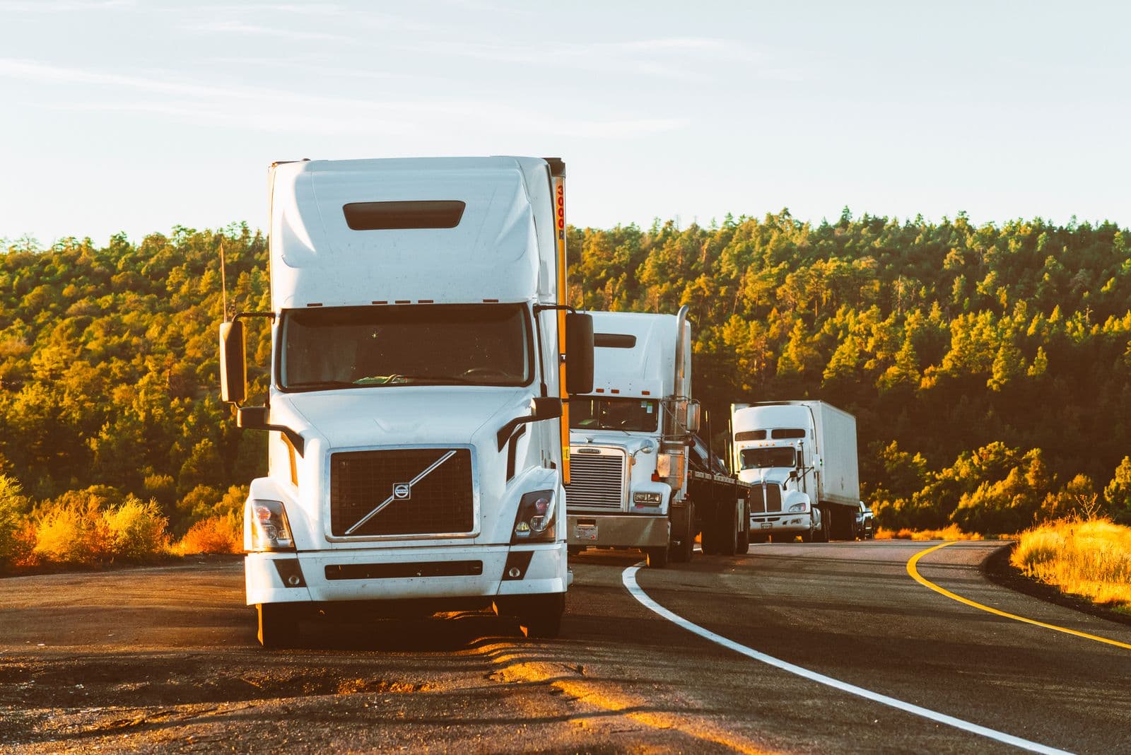 A line of semi-trucks driving down a sunlit highway in summer